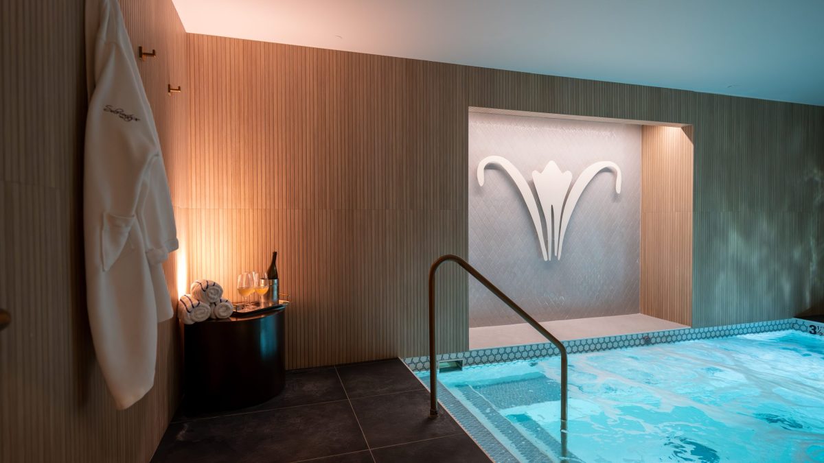 The Artesian Wellness Art of Escape Journey